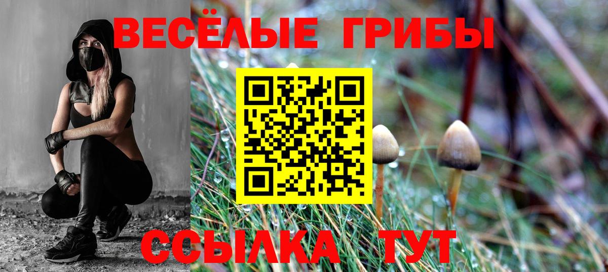 Стерлитамак  Галлюциногенные грибы MAGIC MUSHROOMS  Вход с VPN 